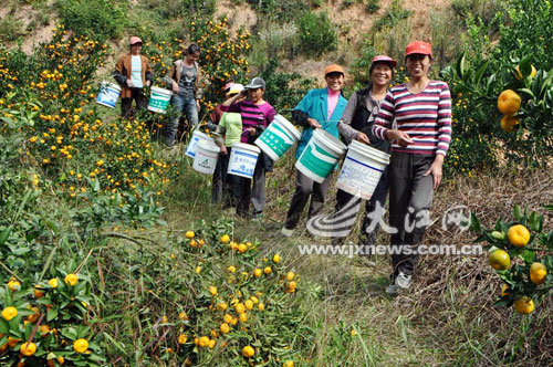 ��ɽ����ȥ