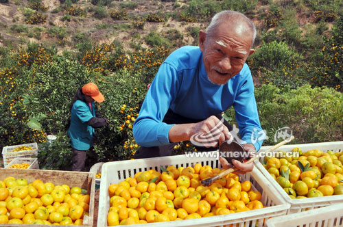 ��ũҶԶʤ��������1300���������ÿ�궼Ҫ����10�������ٹ���