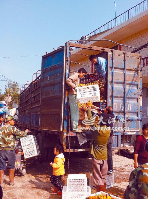 ���ϡ�ɽ�����ӱ��ȵؾ����������չ�