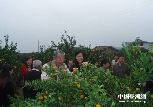 ������һ�вμ��۽۲�ժ�