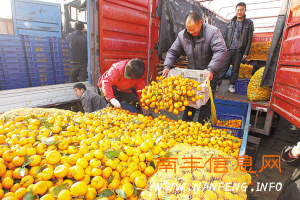 ���ۻ𱬣�����ũ�����ֿ��˻���