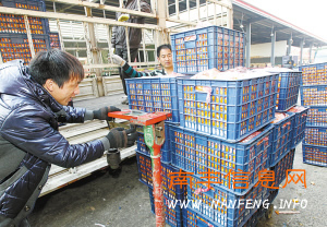 �Ϸ�������ʯ��ׯ������ȫ������