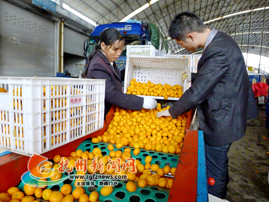 �Զ��ֶ������˽۶����г��������羰