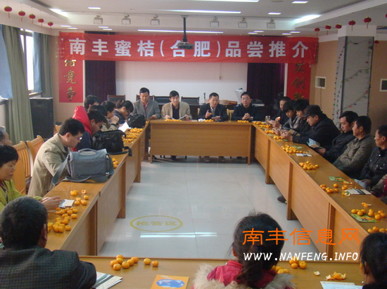 李履才一行与合肥水果批发销售代表座谈