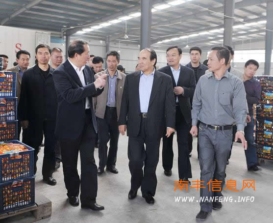 全国政协副主席阿不来提.阿不都热西提在南丰县考察调研