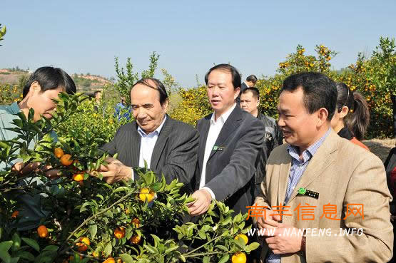 全国政协副主席阿不来提.阿不都热西提在南丰县考察调研