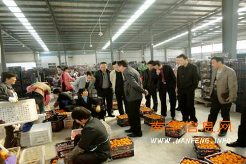 ũҵ���칫�������鵽�Ϸ����ũҵ��ҵ��