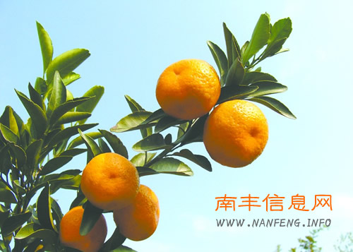 ����ʡ��������벢�������Ϸ��۽�