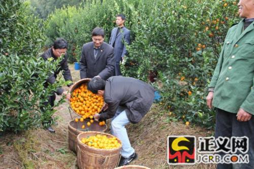 �Ϸ��ؼ��Ժ�ɾ����ũ�ɽۻ����