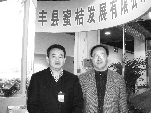 贡桔:英国圣诞“礼物”