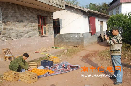 ʡ����̨���Ϸ��زɷõڶ���ʡ����ģ����ѡ�˺�ϸë��