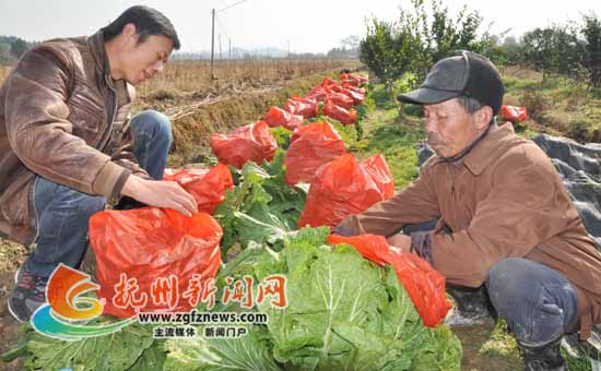 �Ϸ���Ϣ�����Ϸ���̫����ũ����Ա�ڸ����ǰ��ָ�����������ϴ�������ˡ�