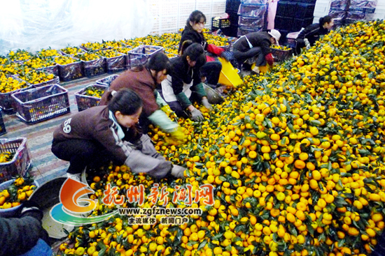 �Ϸ���Ϣ�����Ϸ��۽����ۼ���9�ڹ���