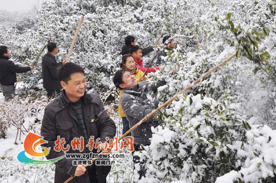 �ϷᵳԱ�ɲ�ѩ����ũæ