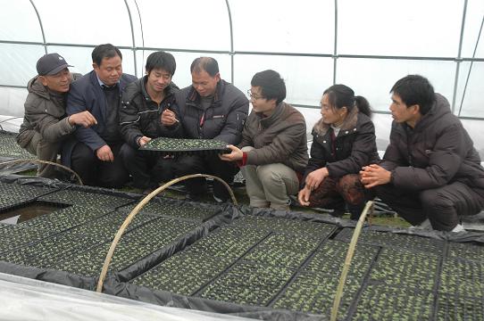 �̼�Ա�����ֳ�ָ����ũ��ǿ�������