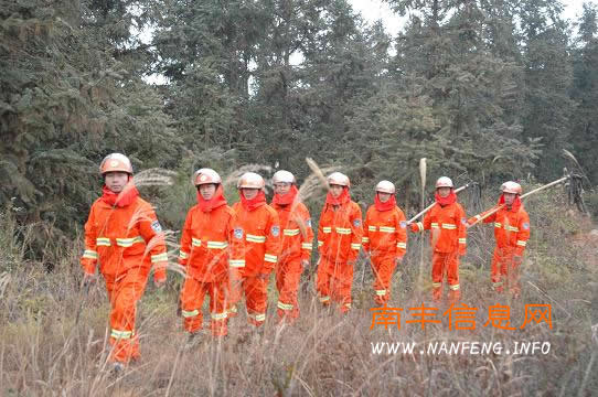 �Ϸ��ؼӴ�ɭ�ַ���Ѳ������