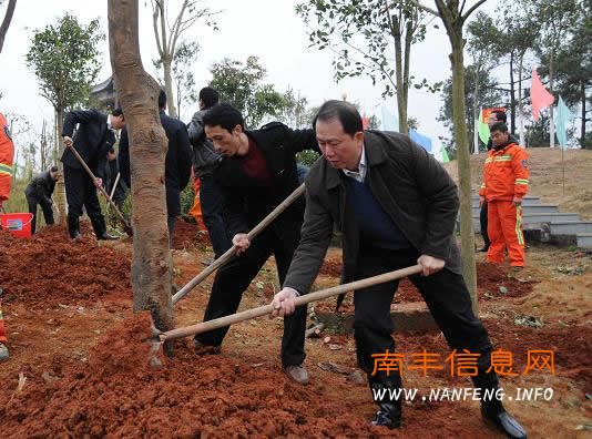 �Ϸ������װ����쵼�´�����ֲ��