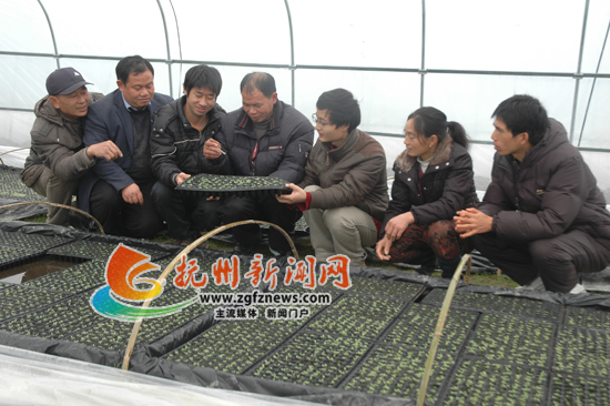 ϷضƺϪڣ̼Աֳָũǿ