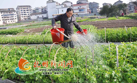 �Ϸ�����Ϫ����÷�Ӵ�ũ���������æũ��