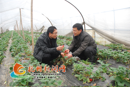 �Ϸḵ�������ݮ������