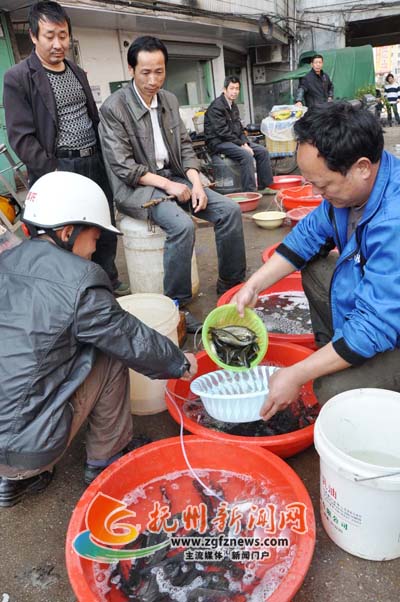 �Ϸ���̫Դ��ũó�г���ũ��������ѡ������