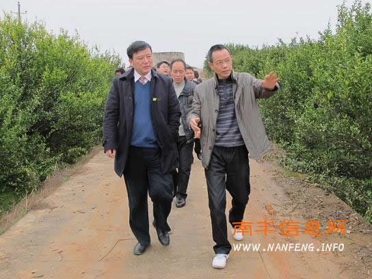 段云来指导“县域乐”规划建设