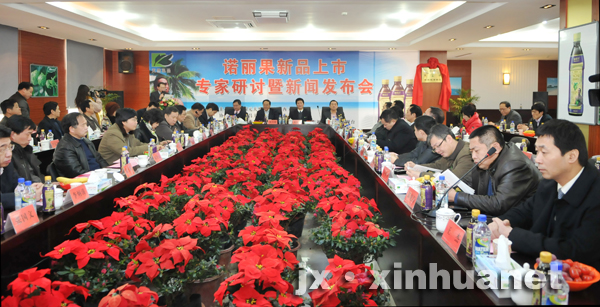 ŵ������Ʒ����ר�����������ŷ������ֳ�