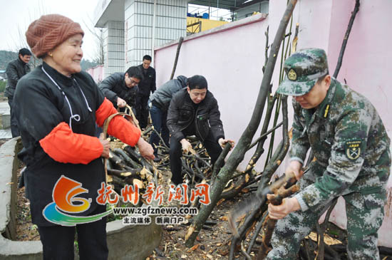 �Ϸ���̫Դ�����䲿������һ�١��������Ա�����羴��Ժ