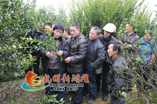 �Ϸ������ƽ��۽�Ʒ����������