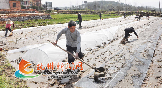 �Ϸ᣺�������ı���æ