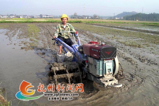 Ϸ̫˾ǰũʻţ絾﷭