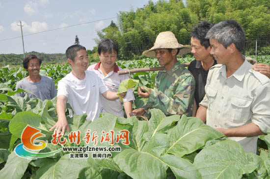 ϷᡰУͷڿ