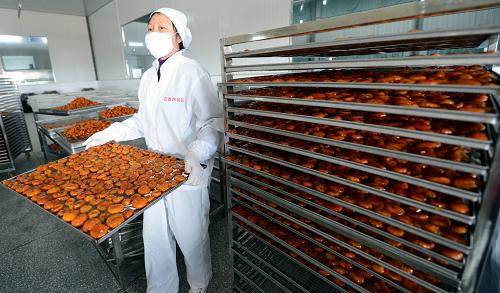 2月1日，南丰县江西吉香林食品有限公司工人在将蜜橘加工成饼。新华社记者 周科 摄