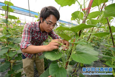 南丰一小伙大学毕业辞职回乡拜农为师