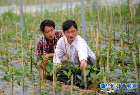 南丰一小伙大学毕业辞职回乡拜农为师