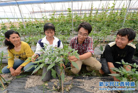 南丰一小伙大学毕业辞职回乡拜农为师