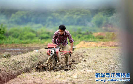南丰一小伙大学毕业辞职回乡拜农为师