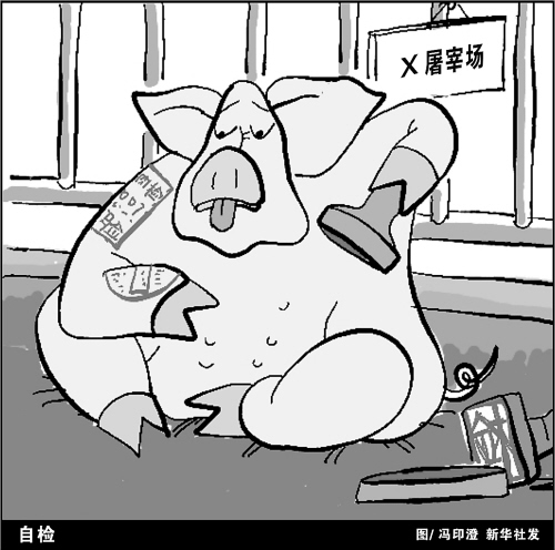 南丰生猪定点屠宰乱象环生 多职能部门监管失效