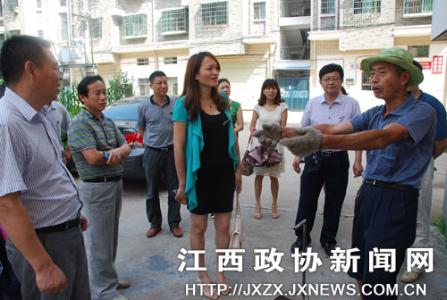 南丰县政协开展住宅小区物业管理专题调研