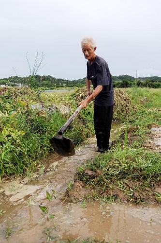8月14日,南丰县白舍镇河东村68岁的村民徐清文在引水抗旱。新华社记者 周科 摄