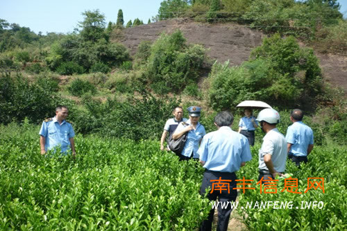 省植物检疫组到南丰检查指导工作