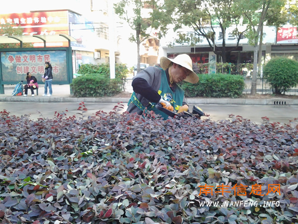 南丰县园林管理局全面加强秋季养护管理工作