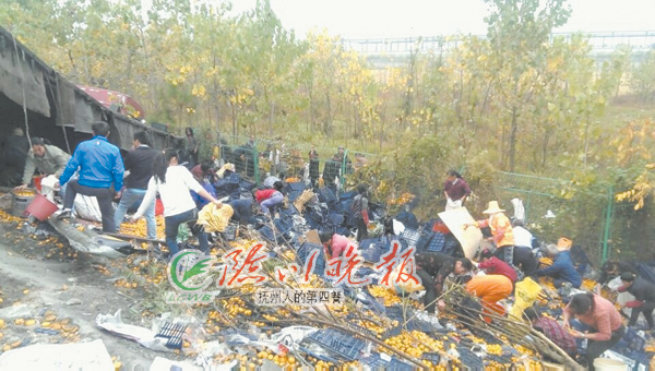 运输南丰蜜桔货车侧翻高速路 30吨蜜桔遭哄抢