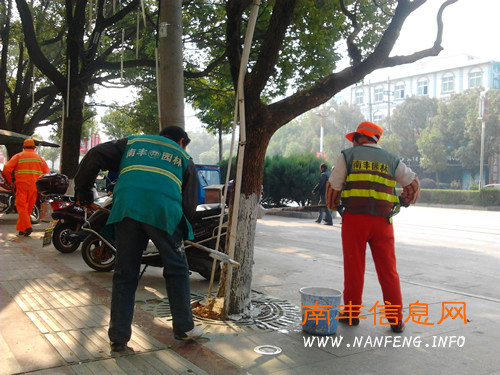 南丰县园林局组织园林工积极做好冬季树木涂白工作