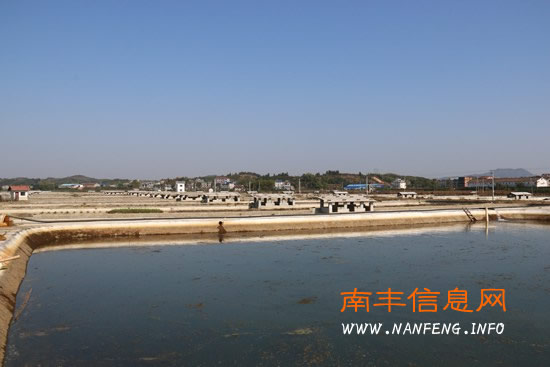 南丰县立足甲鱼特色 发展健康养殖