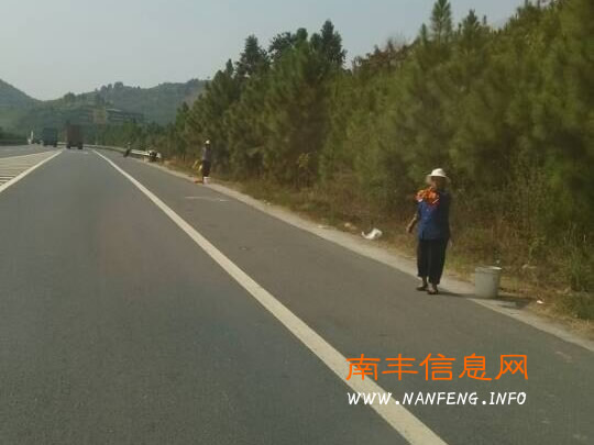 南丰桔农高速路上兜售蜜桔 危险生意屡禁不止