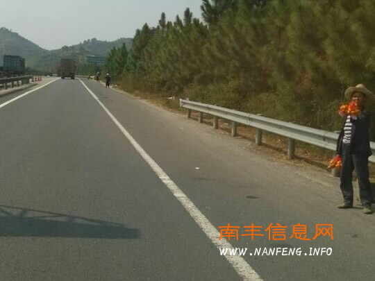 南丰桔农高速路上兜售蜜桔 危险生意屡禁不止