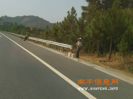 南丰桔农高速路上兜售蜜桔 危险生意屡禁不止