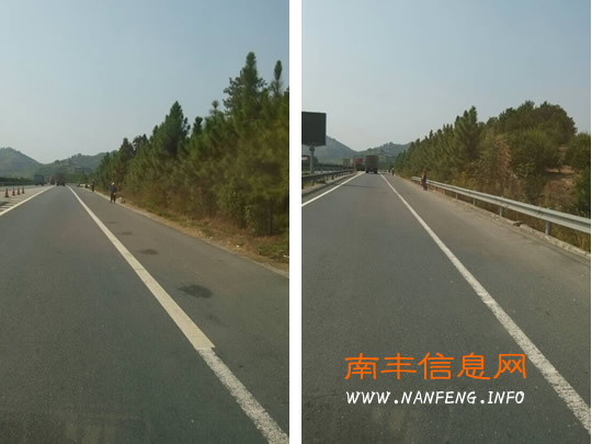 南丰桔农高速路上兜售蜜桔 危险生意屡禁不止