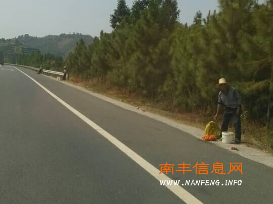 南丰桔农高速路上兜售蜜桔 危险生意屡禁不止